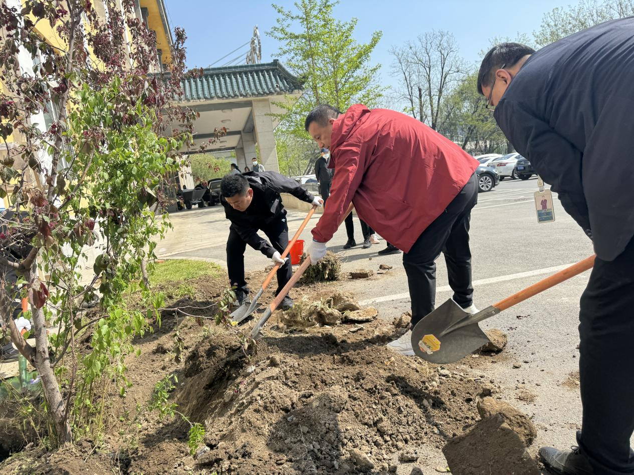 植树造林添新绿，共创秀美钢都景