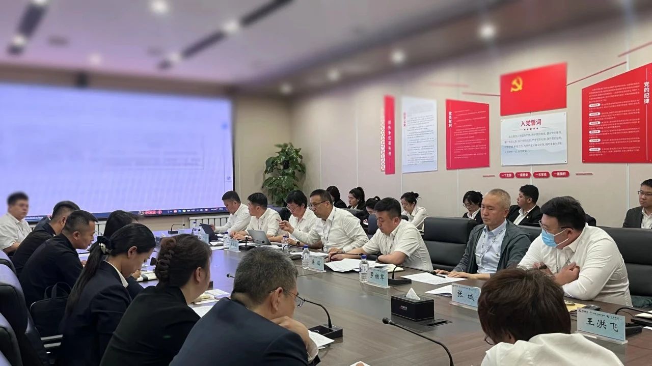 “聚焦全面预算指标，助力运营效能提升”尊龙、温泉、公服集团召开5月份经营管理协调会